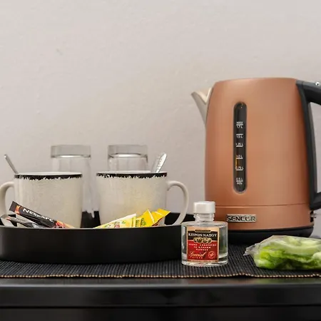 Apartahotel Naxosair2 Naxos City